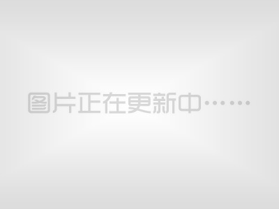 德國：羊肚菌產品需求量持續(xù)增長